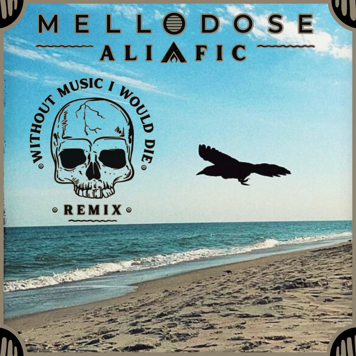 Without Music I Would Die remix artwork for Mellodose and Alific